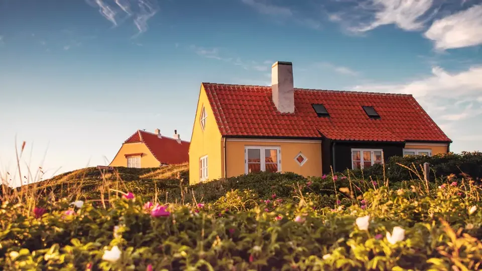 Gule huse på en bakketop omringet af hybenbuske.