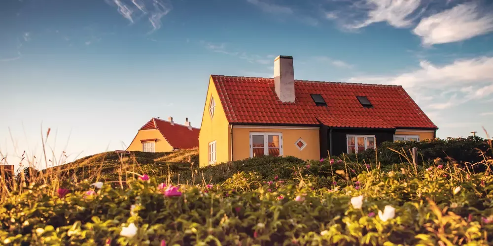 Gule huse på en bakketop omringet af hybenbuske.