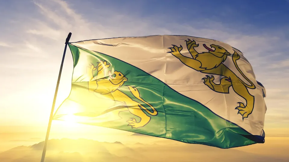 Flagge vom Kanton Thurgau weht im Sonnenlicht gegen den Himmel.