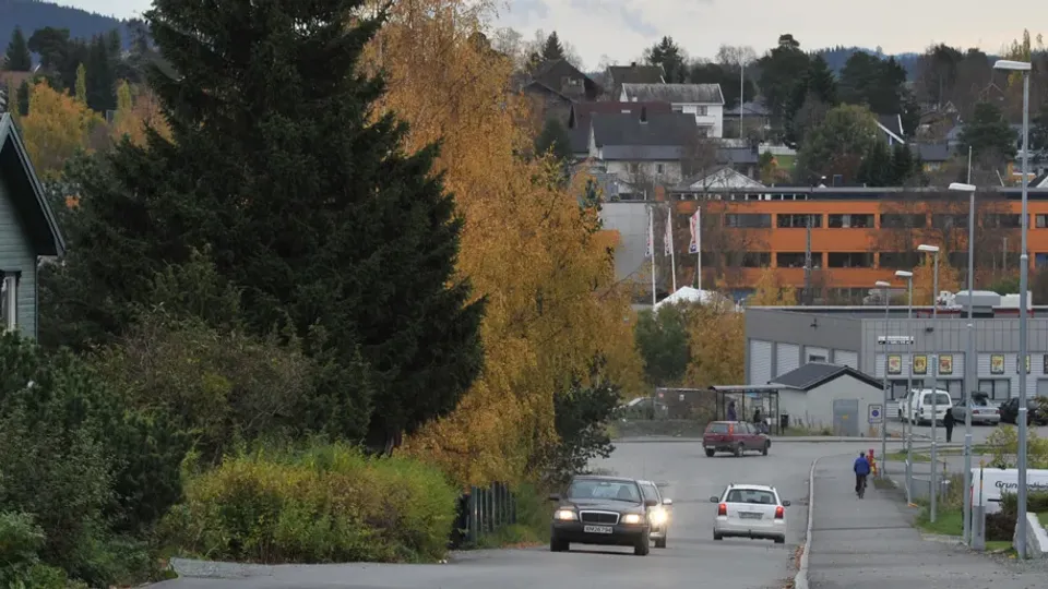 Boliggate i Heimdal-bydelen med hus, høsttrær og kontorbygg.