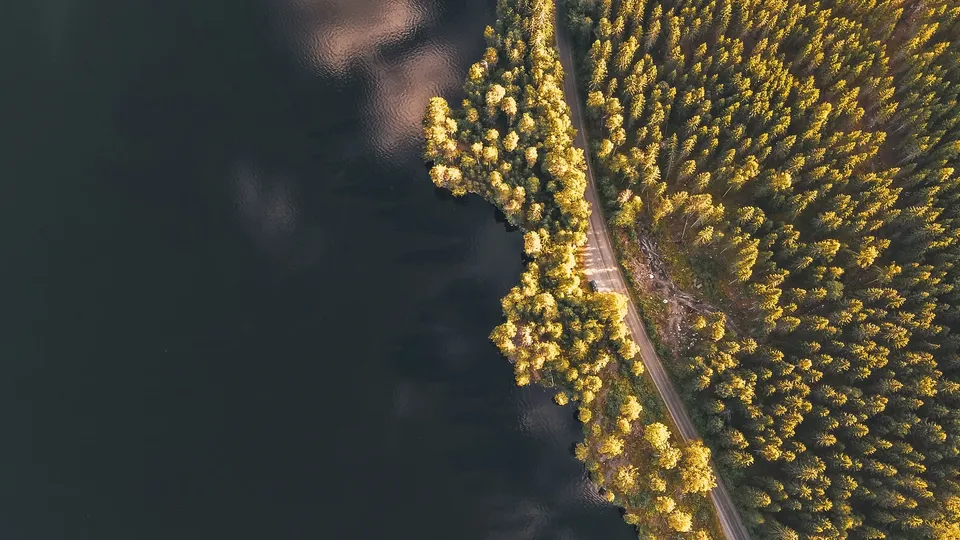 Luftfoto av grusvei langs mørk sjøstrand gjennom gyllent skog.