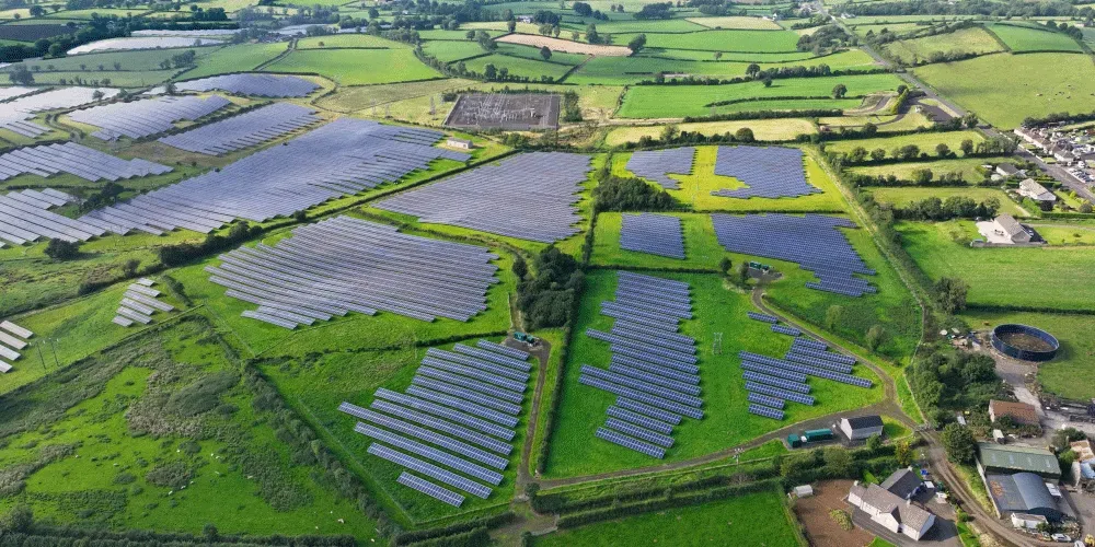 Aerial view of solar panel arrays across green farmland with hedgerows.