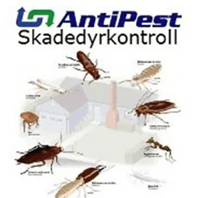 Antipest logo