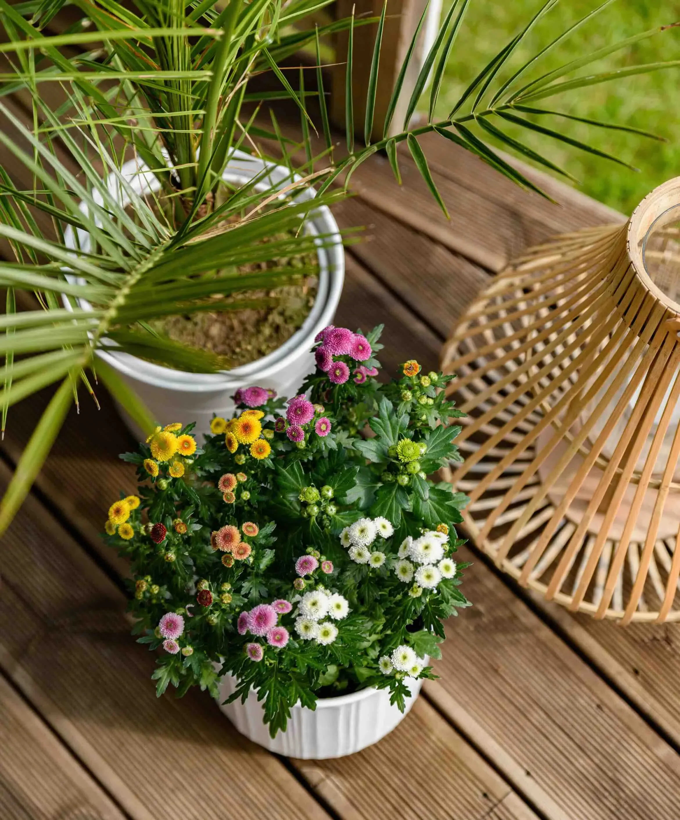 Velstelt uteplass med blomster og planter som gir et friskere uttrykk ved boligstyling.