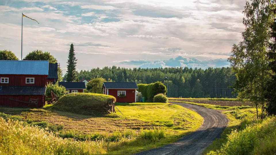 Röda gårdshus med vita fönsterkarmar.