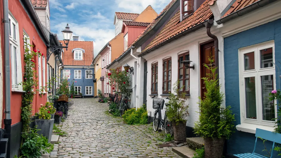 Billede af Nordjylland: Farvefulde historiske bygninger langs en brolagt gade med cykler og blomstrende planter.