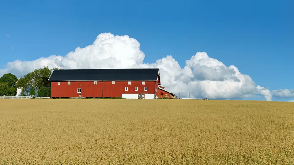 Landbruksmegling. Bilde av en rød gård og åker