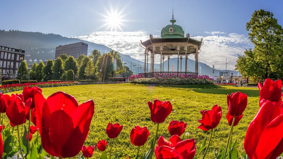 Musikkpaviljongen i Byparken i Bergen sentrum omgitt av tulipaner og grøntområde på en solrik dag.