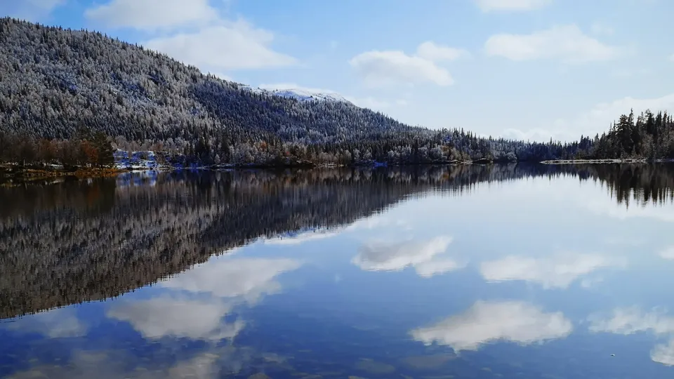 Finn eiendomsmegler i Tynset: Utsikt over innsjø og skog i Tynset