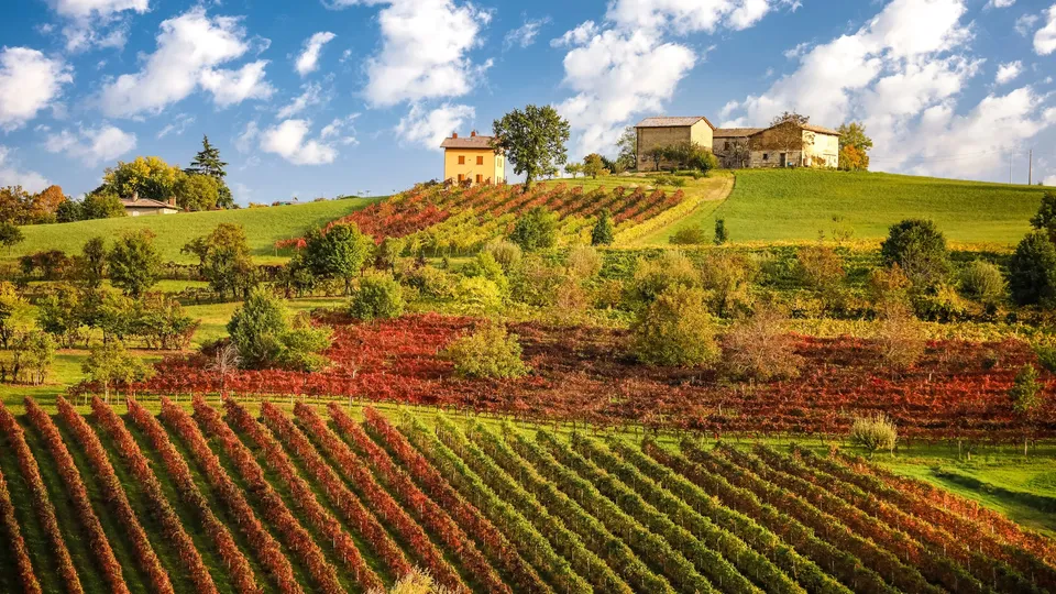 Campagna toscana con filari di vigneto e villa in collina in autunno.