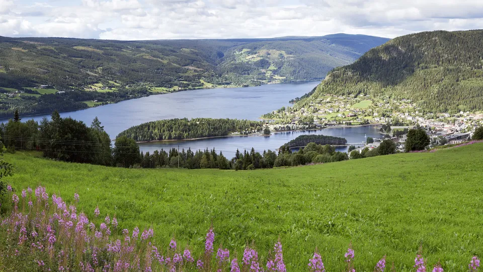 Innsjø og dalføre omgitt av skogkledde fjell.