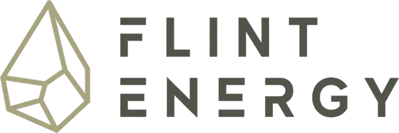 Flint Energy Ltd logo