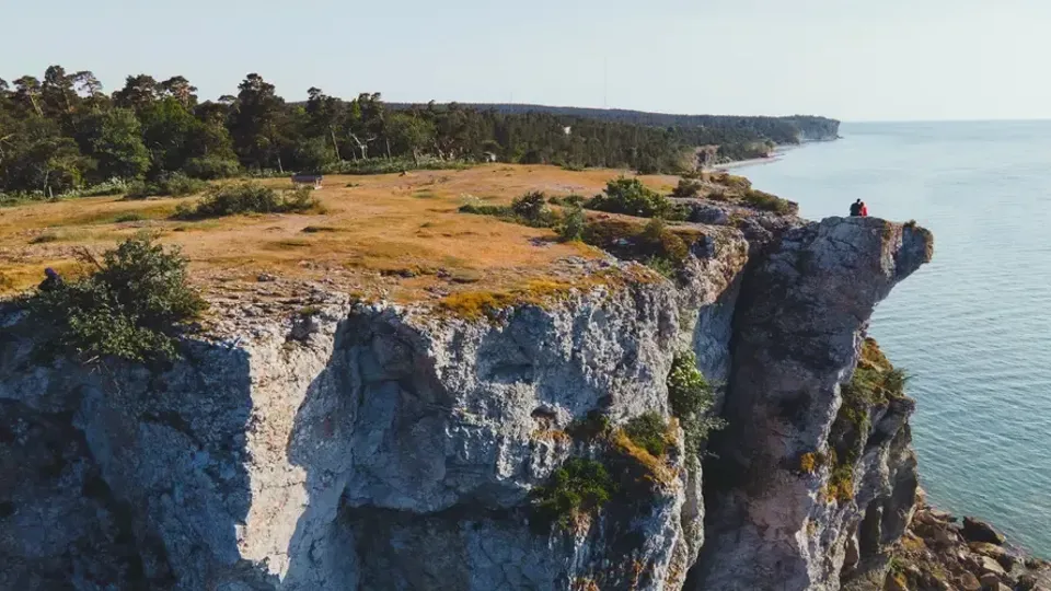 Stenig klippa med utsikt över havet och skogbevuxen kust i bakgrunden.