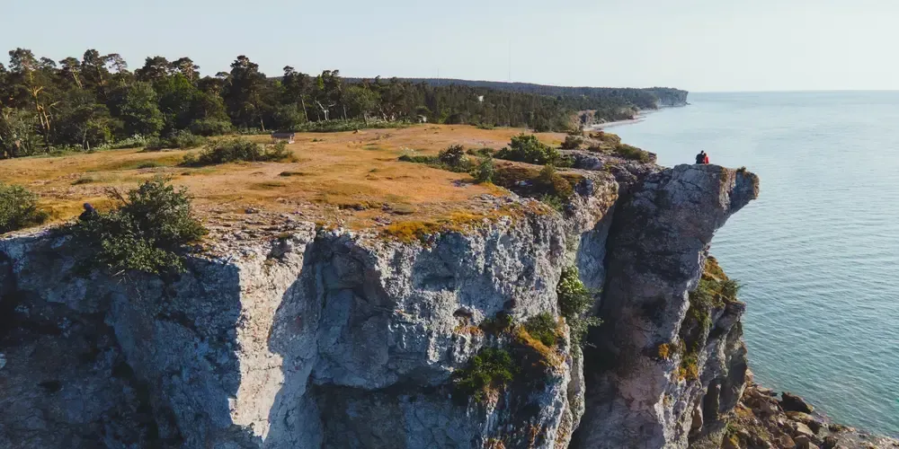 Stenig klippa med utsikt över havet och skogbevuxen kust i bakgrunden.