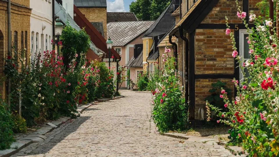 Kullerstensgata omgiven av rosa och röda blommor mellan tegelhusen.