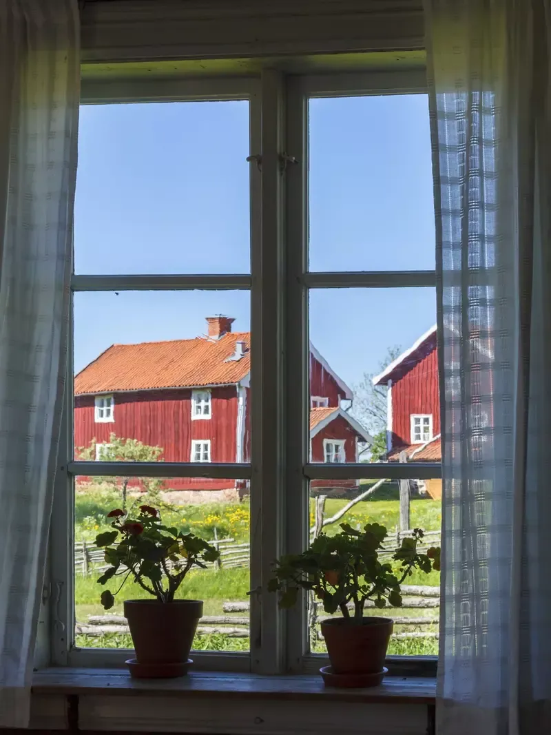 Två krukväxter på fönsterbrädan med utsikt över röda gårdsbyggnader.