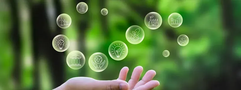 Una mano si protende verso bolle fluttuanti con icone ecologiche, come una lampadina e delle pale eoliche, su uno sfondo di bosco verde sfocato.