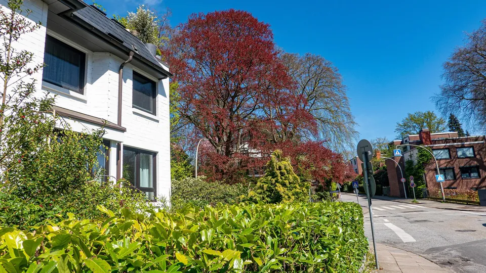 Weißes Haus mit Garten an einer ruhigen Straße in Hamburg-Bergedorf