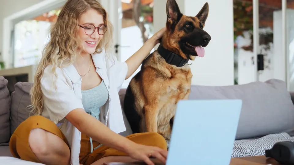 Kvinde med schæferhund arbejder på bærbar computer.