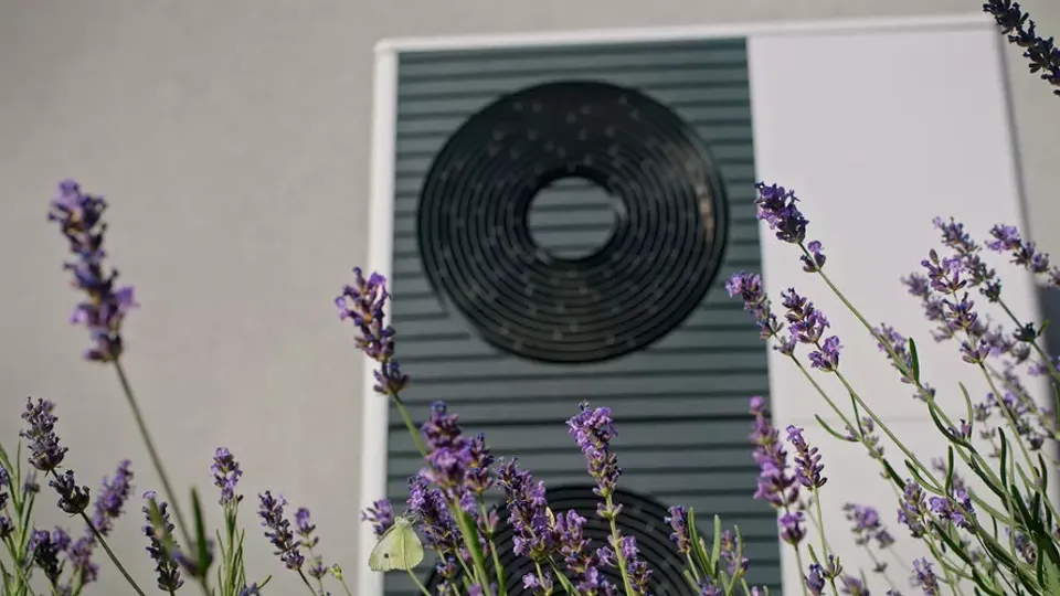Lavendelblomster i forgrunden med varmepumpe i baggrunden.