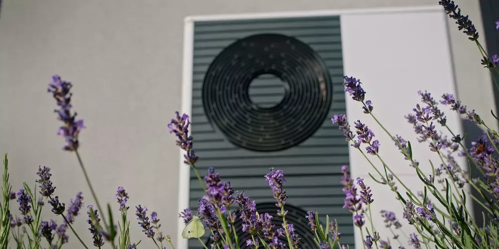 Lavendelblomster i forgrunden med varmepumpe i baggrunden.