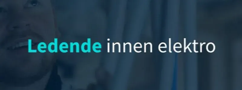 Ledende innen elektro står på tvers av bildet
