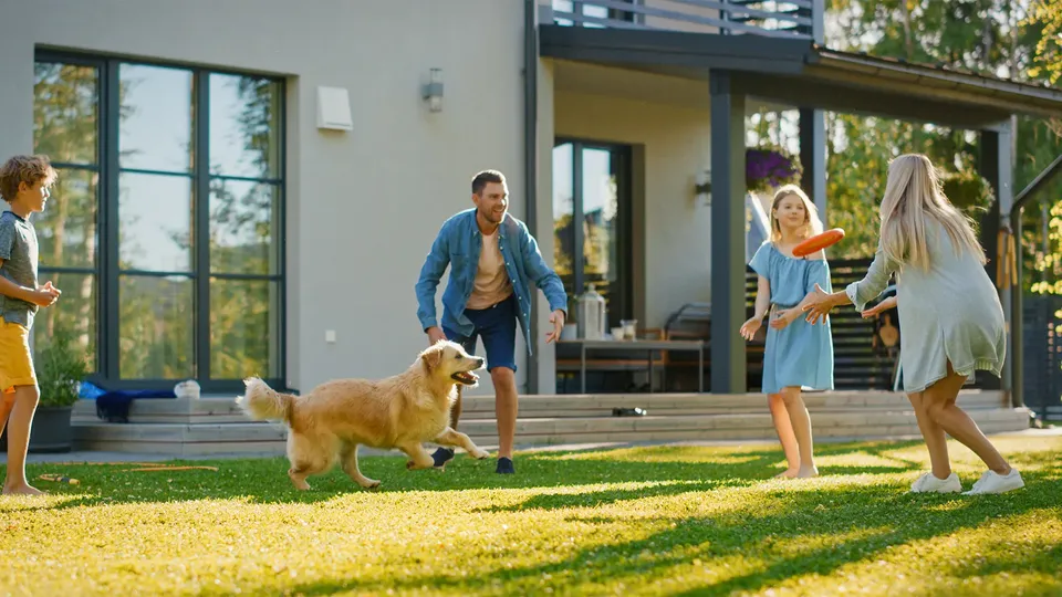 Familie spiller frisbee med hund i baghaven.