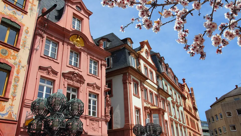 Barockgebäude und Kirschblüten in Mainz