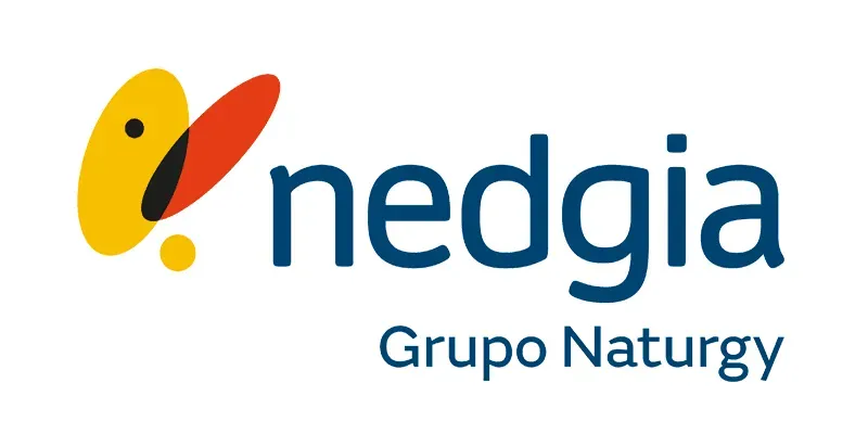 Nedgia logo