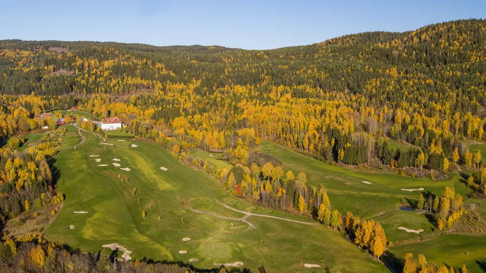 Luftfoto av golfbane omgitt av høstskog med gule og grønne trær.