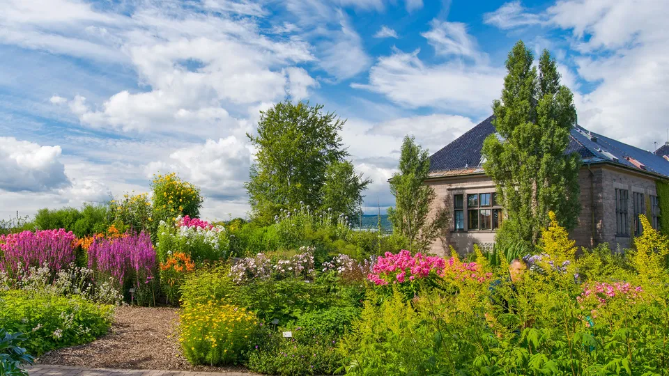 Blomstrende hage med rosa og gule blomster ved siden av et steinhus.