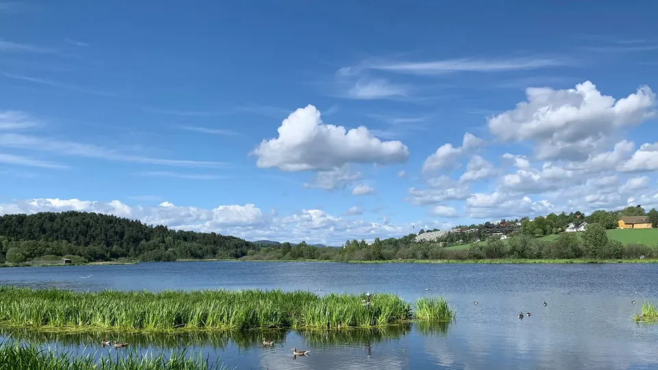 Innsjø med sivbelter, skogkledt strandlinje og skyet himmel i Østensjø, Oslo.