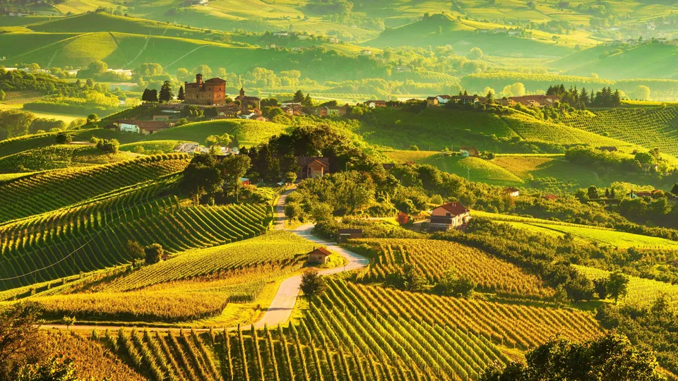 Vista aerea di vigneti ondulati con un castello e un villaggio immersi tra colline verdi.