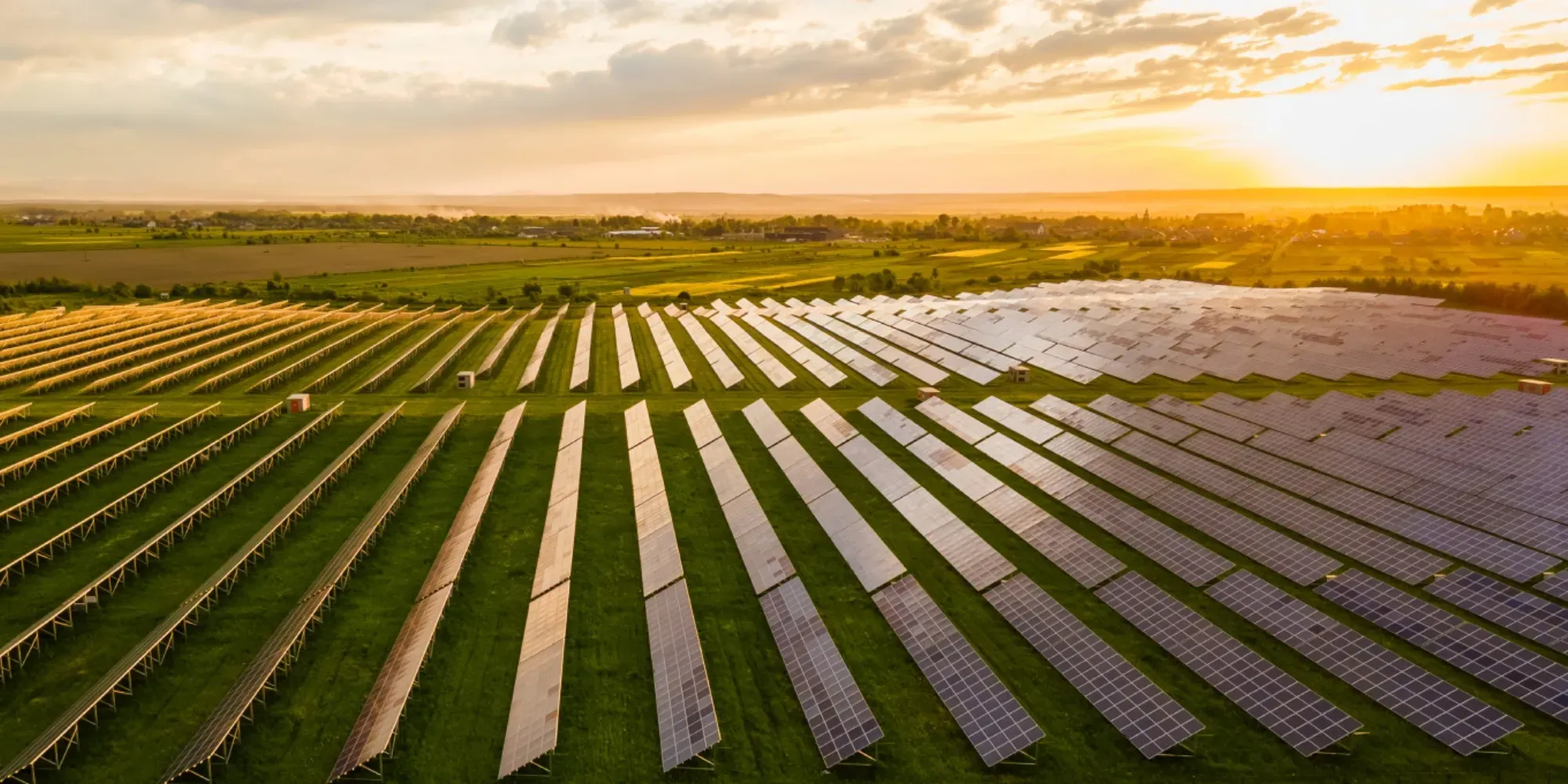 Matriz de paneles solares en campo agrícola al atardecer.