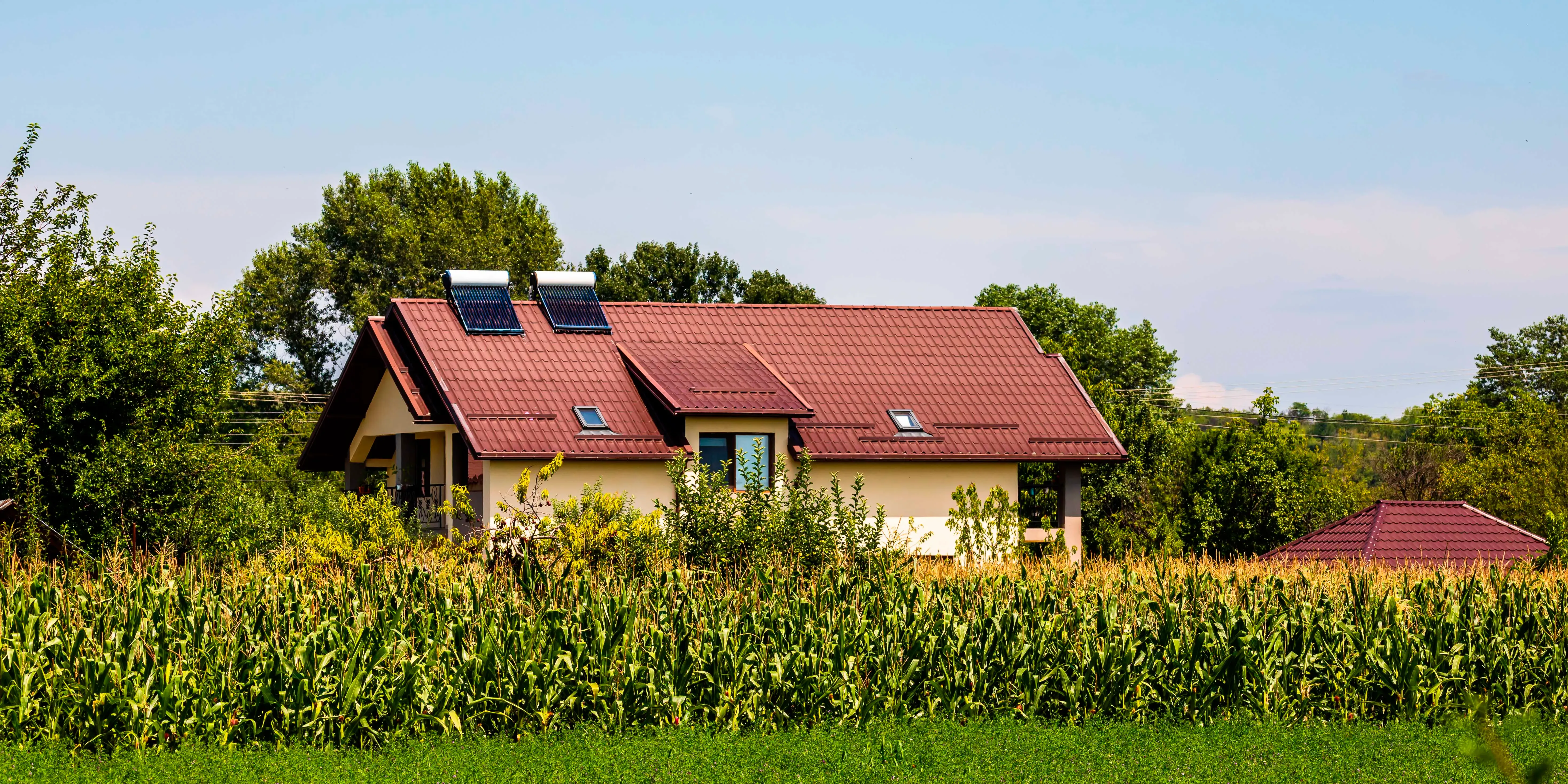 Casa moderna con techo rojo y paneles solares rodeada de campo de maíz.