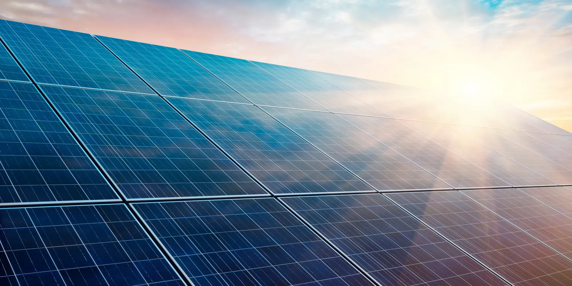 Solar panels angled toward sky at sunset.
