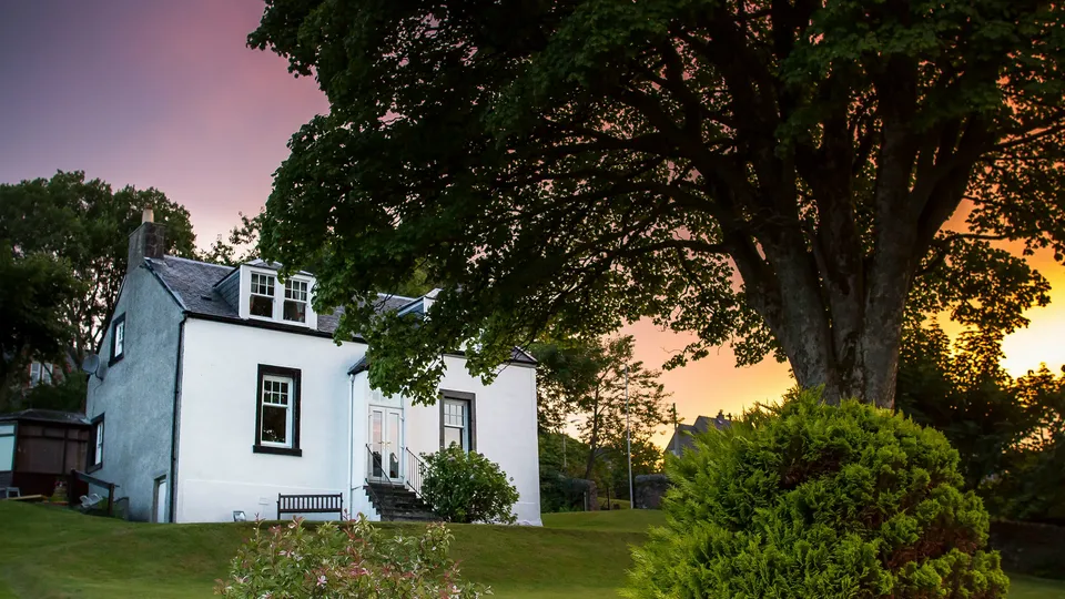 White cottage with dark roof beside large tree at sunset in County Kildare.