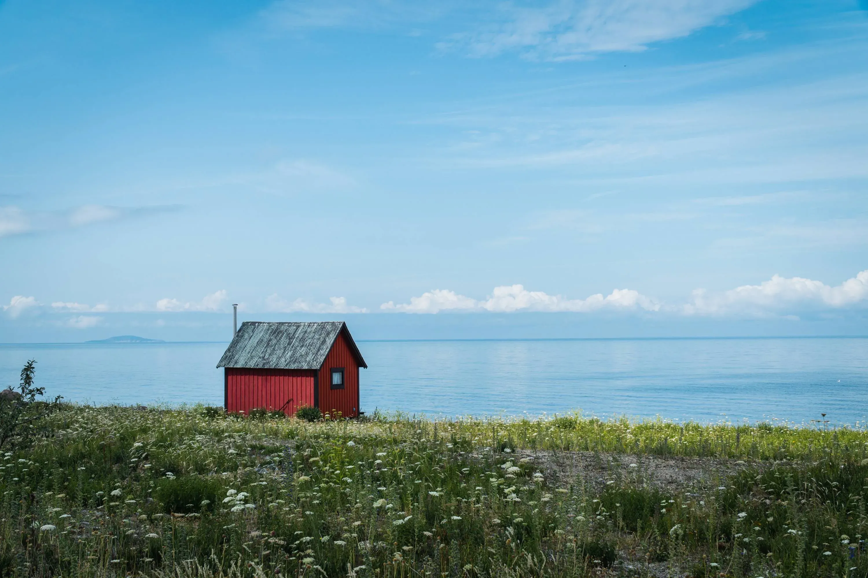 En liten röd stuga vid havet, omgiven av grönska och vilda blommor under en blå himmel.
