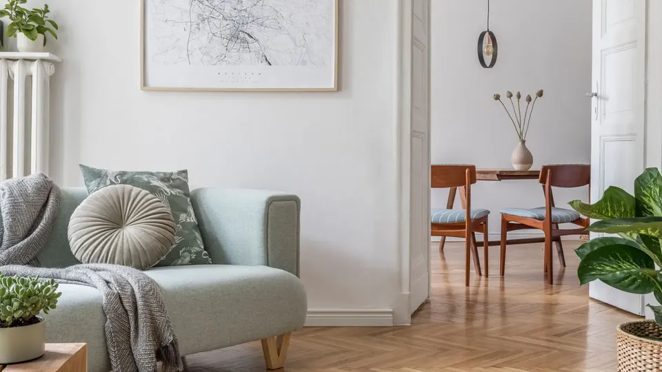 Modernt vardagsrum med ljusblå soffa, trämatsstolar och krukväxter.