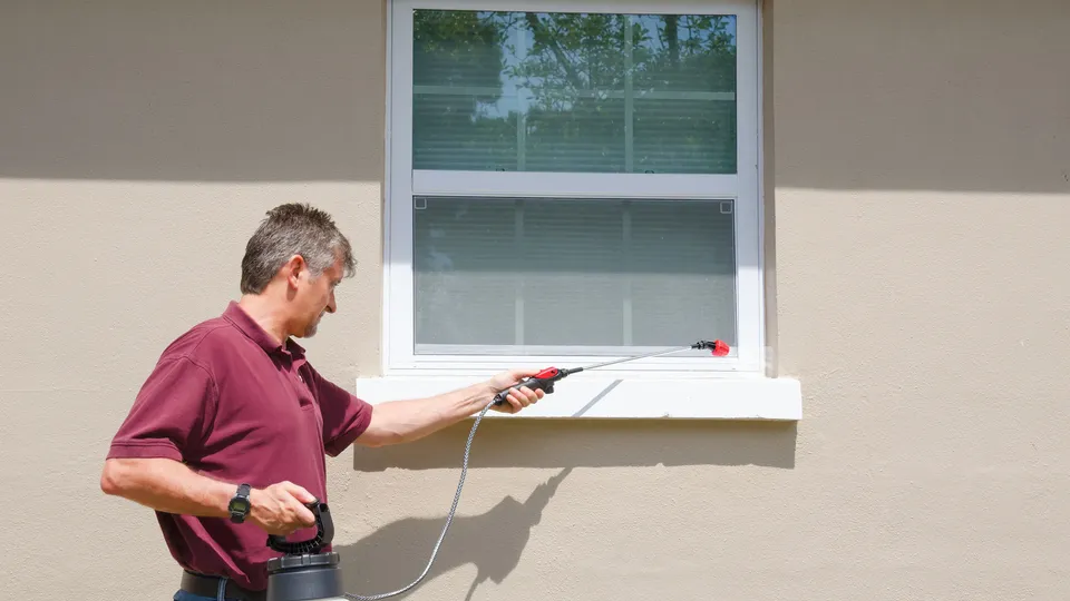 Bilde av en mann som sprayer insektsmiddel på en vinduskarm.