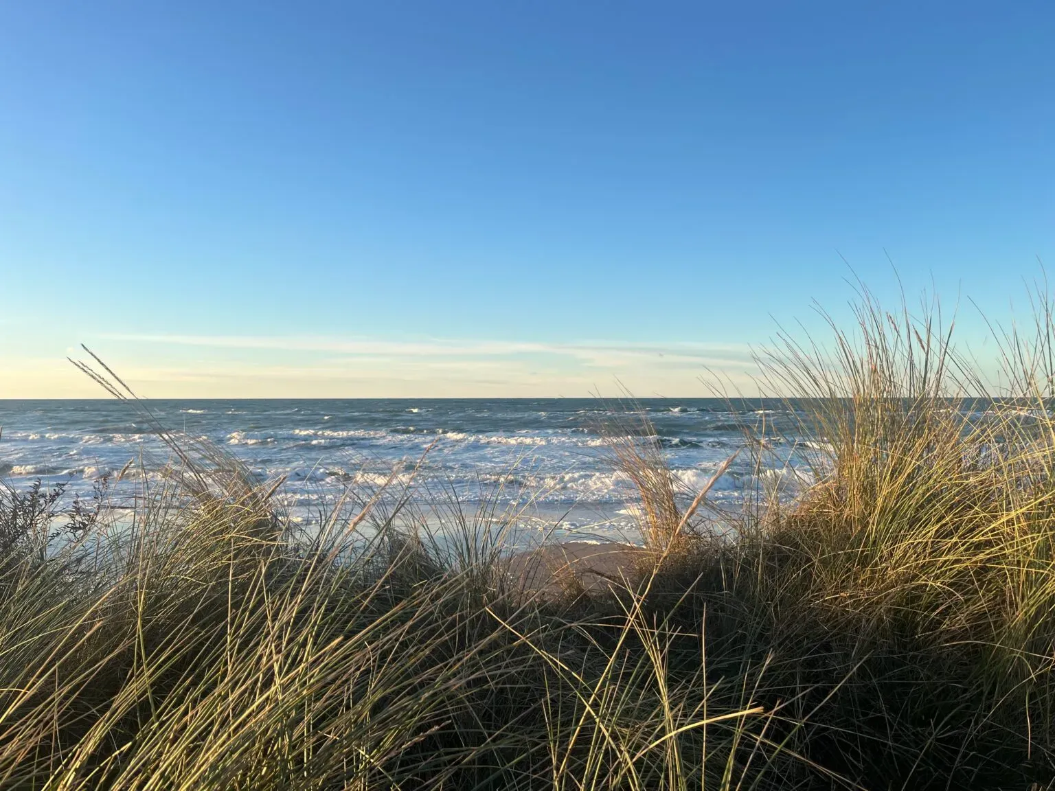 Strandklitter med høj græs med udsigt til oceanens bølger.