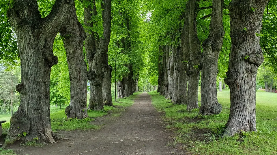En park i Skøyen.