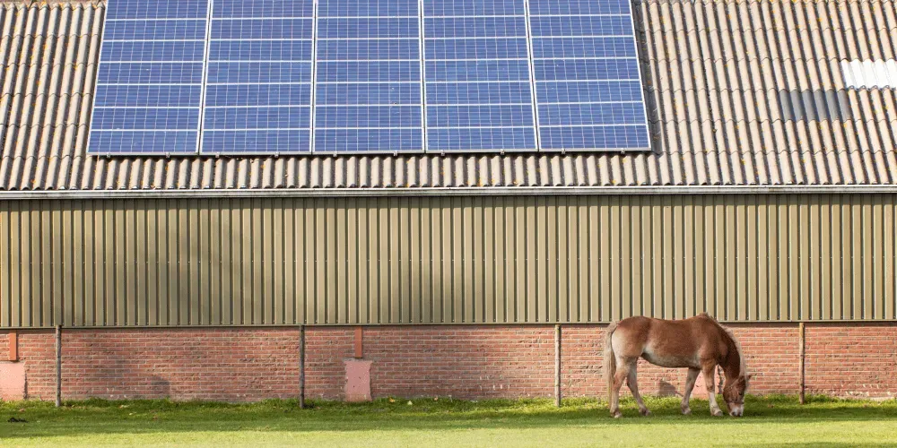 Horse grazing in front of a farm barn with solar panels on the roof