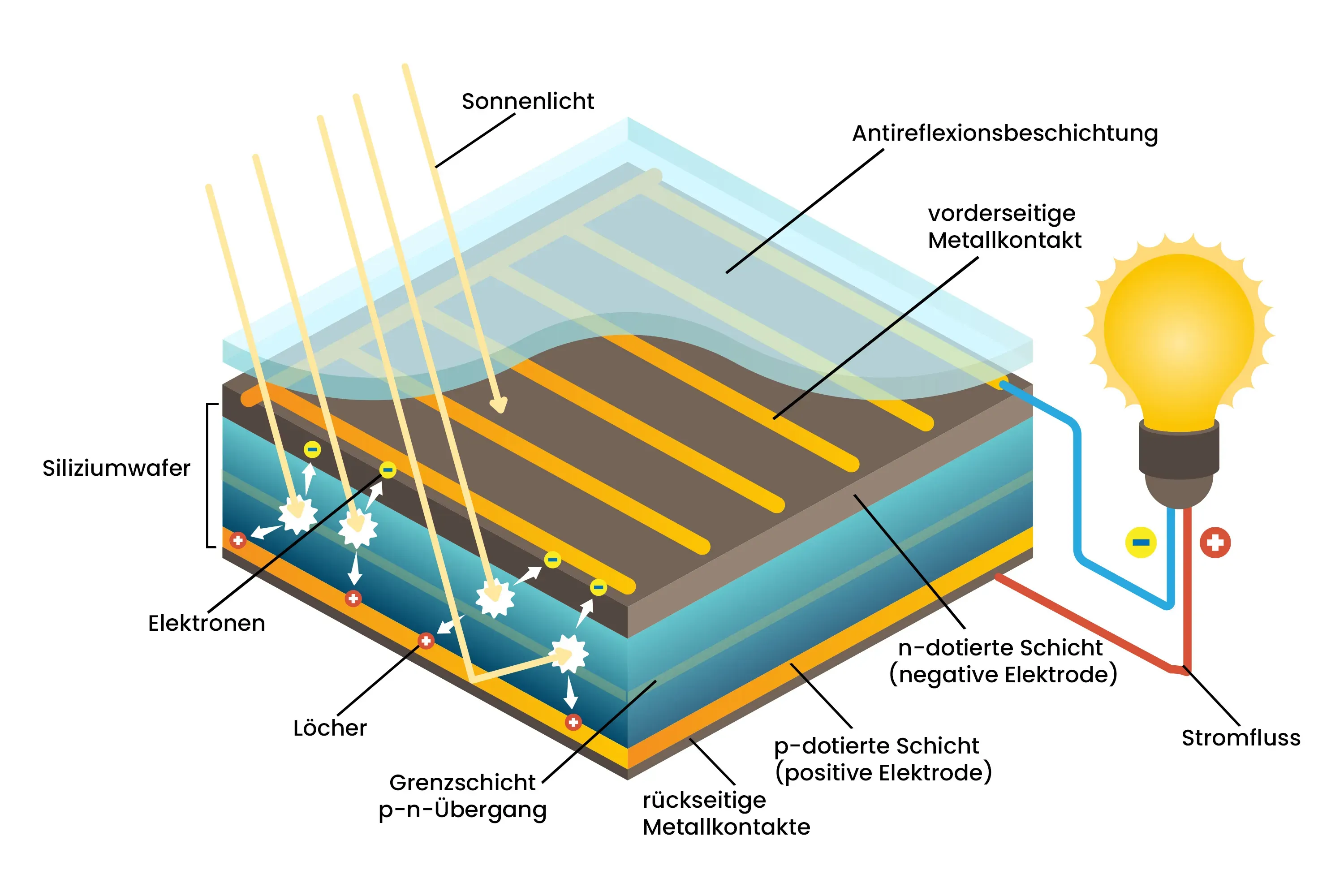 Diagramm des Aufbaus einer Solarzelle mit Siliziumwafer-Schichten, Metallkontakten und Elektronen-Loch-Erzeugung durch S.