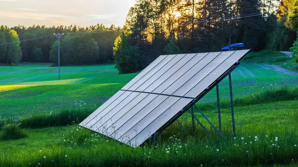 Solpaneler monterade på en lutande ställning i ett gräsfält med träd och solnedgång i bakgrunden.