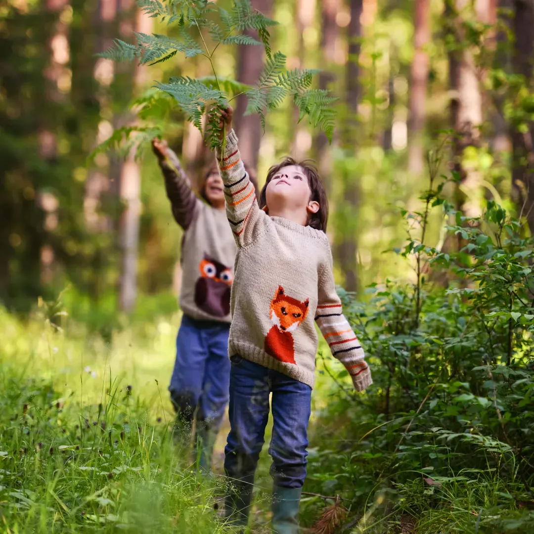 Niño extendiendo la mano para tocar las frondas de un helecho en el bosque.