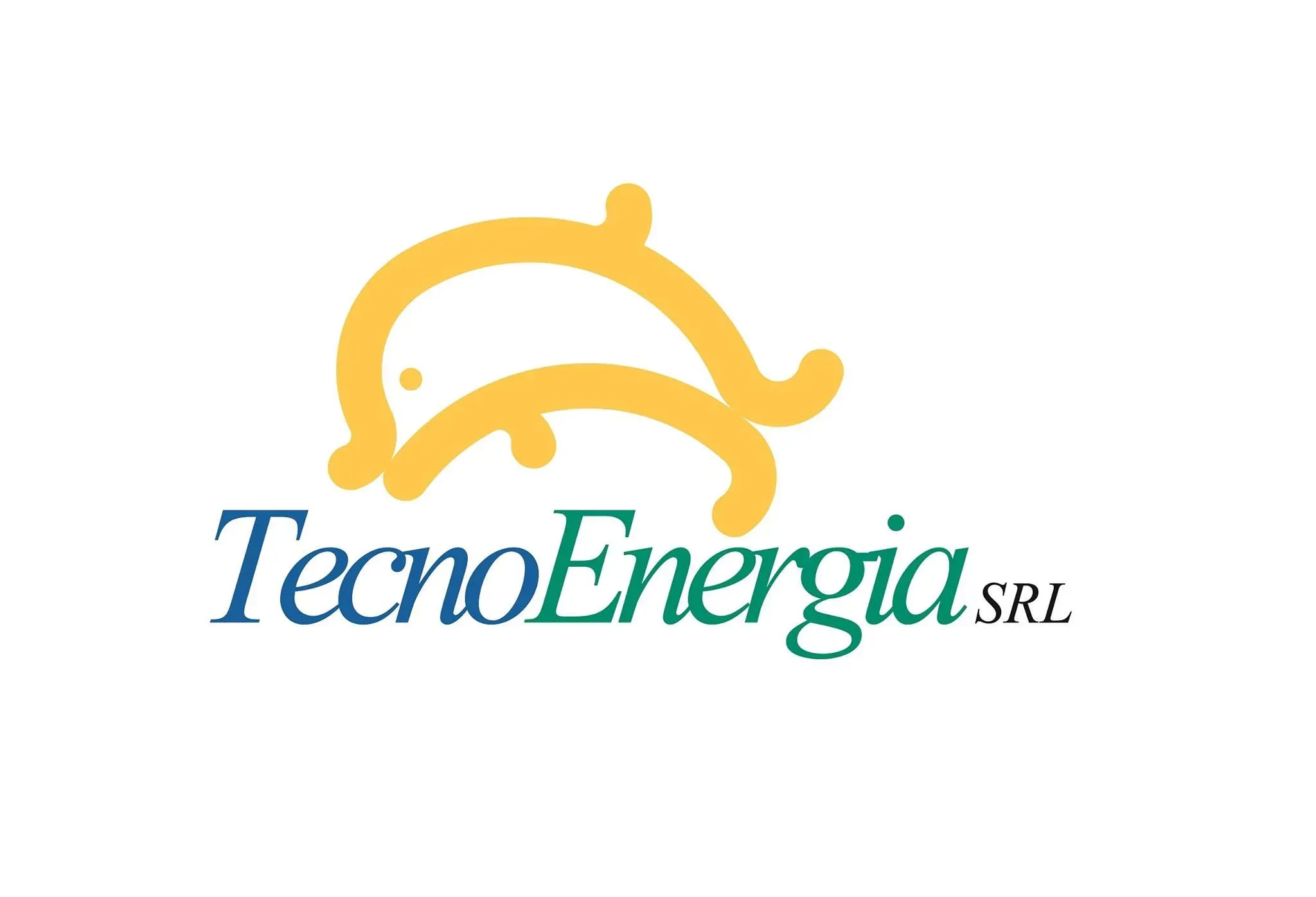 Tecnoenergia S.r.l. logo