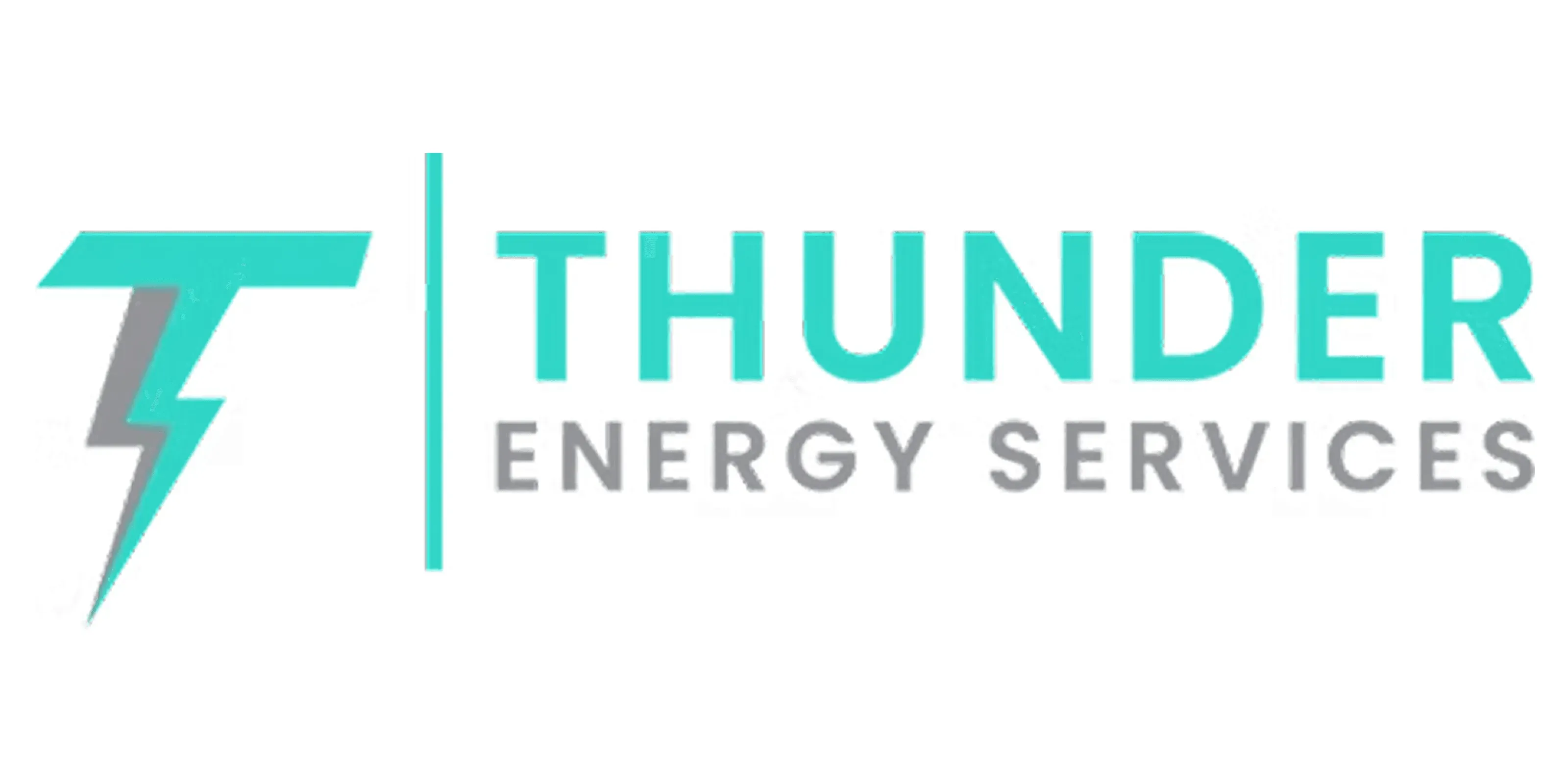 Thunder Energy Services Ltd logo