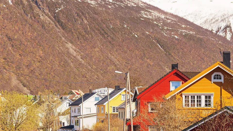 Fargerike trehus mot en skogkledd fjellside.