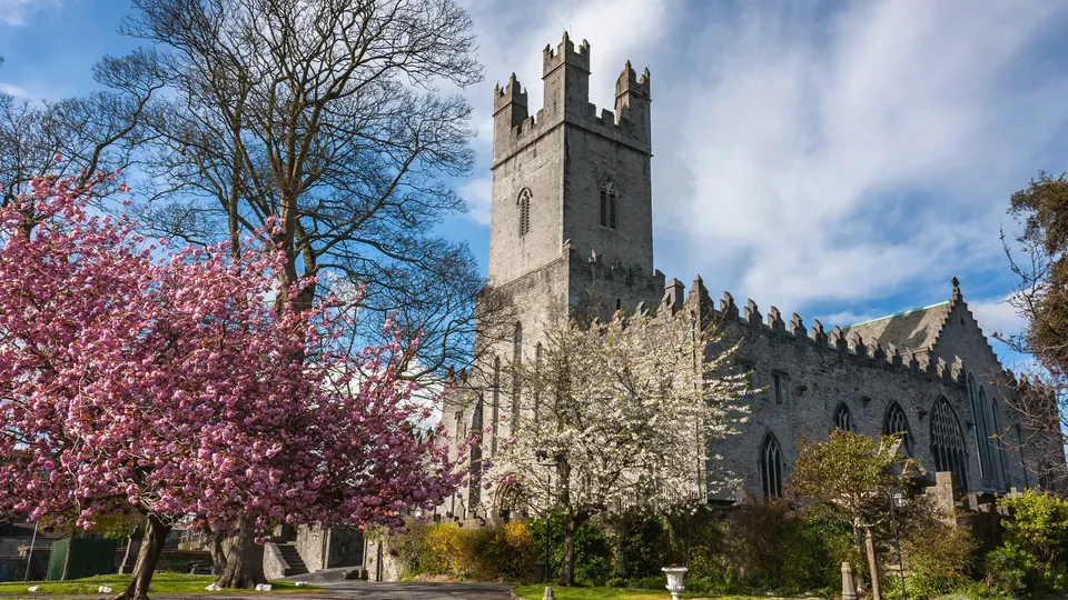 Historic stone church surrounded by spring blossom trees in Limerick, Ireland